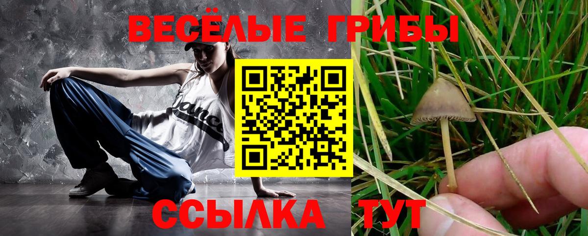 Чайковский  Псилоцибиновые грибы мицелий  Вход с VPN 